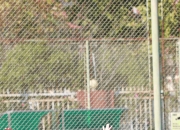 Faker迎来十二赛季出色发挥，加拿大队观众热烈欢呼！赛场气氛高涨的简单介绍